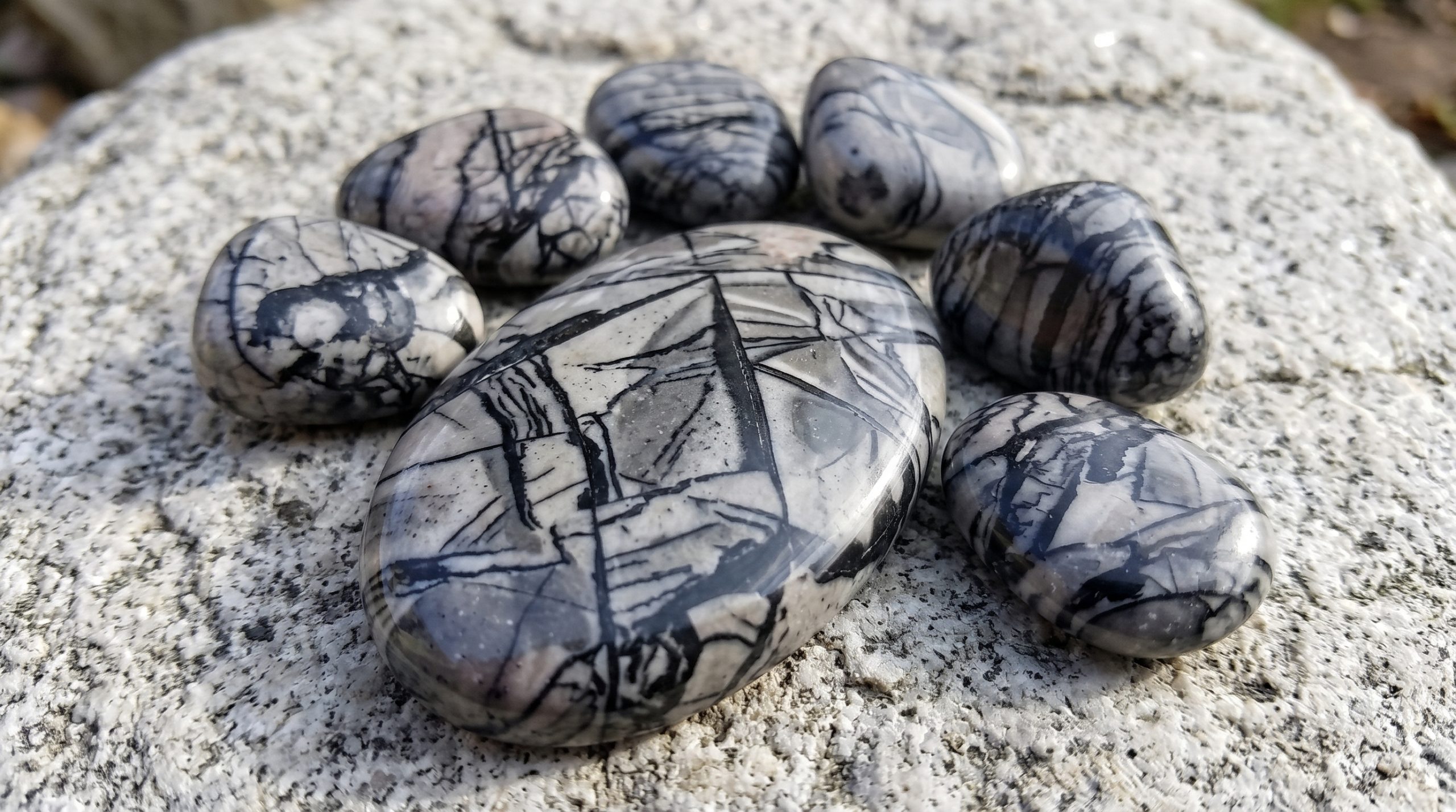 picasso jasper